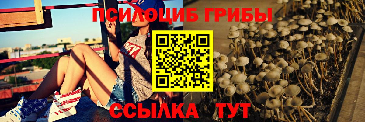 Псилоцибиновые грибы Psilocybe  Галлюциногенные грибы Cubensis  Вход с VPN  Нефтеюганск 
